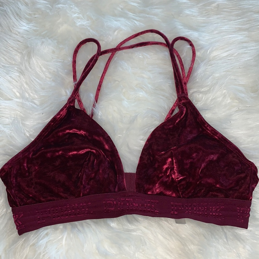Pink Burgandy Velvet Bra